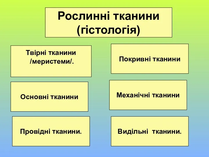 Рослинні тканини (гістологія) Твірні тканини /меристеми/. Основні тканини Провідні тканини. Покривні тканини Механічні тканини Видільні тканини.