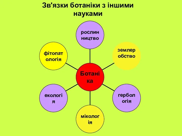 Зв'язки ботаніки з іншими науками