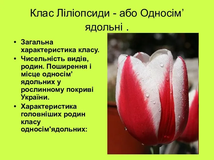 Клас Ліліопсиди - або Односім’ядольні . Загальна характеристика класу. Чисельність