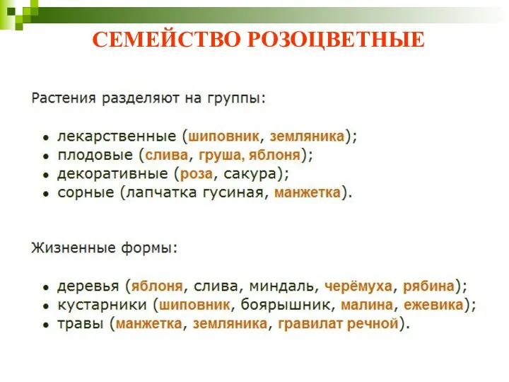 СЕМЕЙСТВО РОЗОЦВЕТНЫЕ Многообразие и жизненные формы: