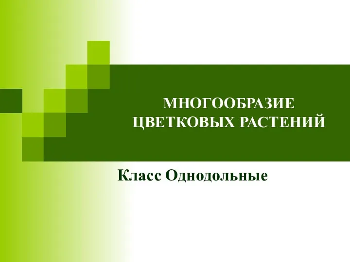 МНОГООБРАЗИЕ ЦВЕТКОВЫХ РАСТЕНИЙ Класс Однодольные