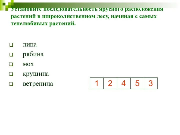 Установите последовательность ярусного расположения растений в широколиственном лесу, начиная с