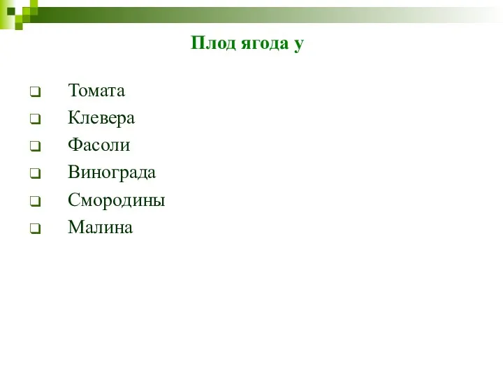 Плод ягода у Томата Клевера Фасоли Винограда Смородины Малина