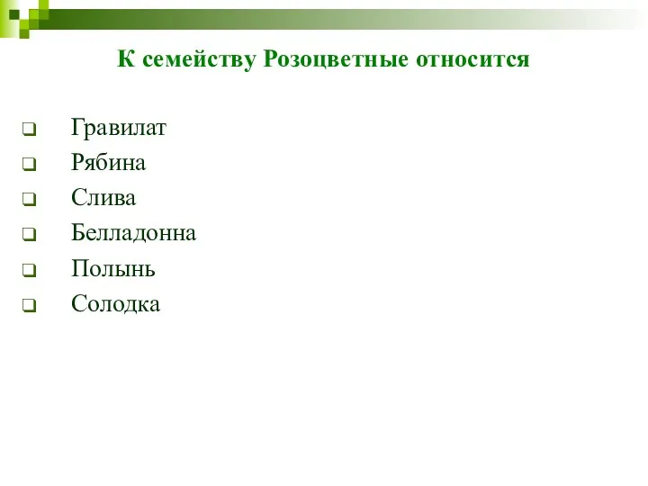 К семейству Розоцветные относится Гравилат Рябина Слива Белладонна Полынь Солодка