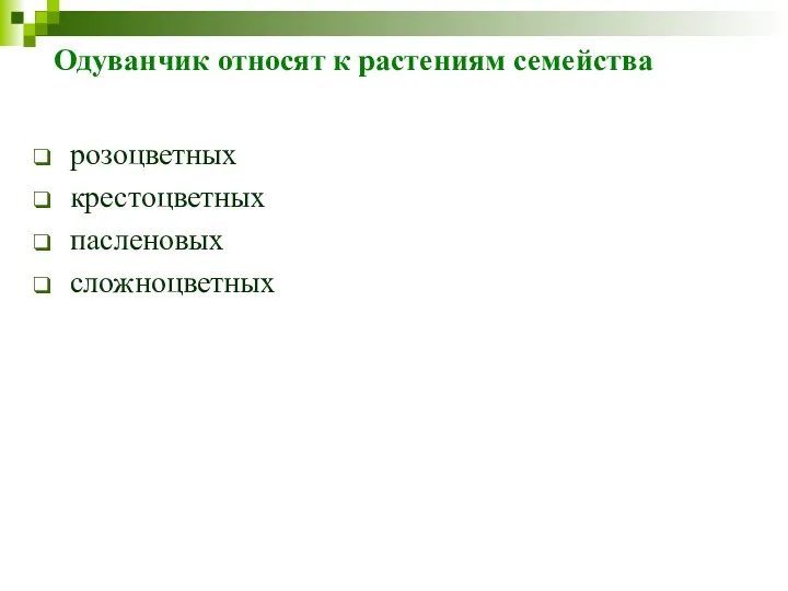 Одуванчик относят к растениям семейства розоцветных крестоцветных пасленовых сложноцветных