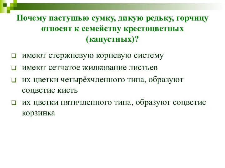 Почему пастушью сумку, дикую редьку, горчицу относят к семейству крестоцветных