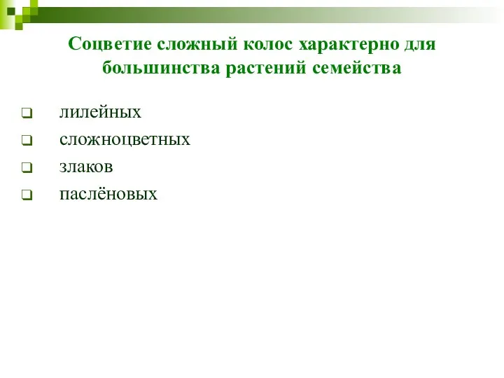 Соцветие сложный колос характерно для большинства растений семейства лилейных сложноцветных злаков паслёновых