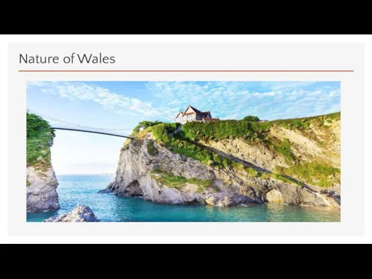 Nature of Wales