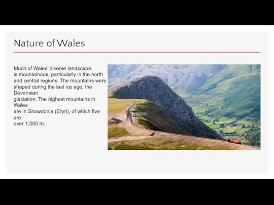 Nature of Wales Much of Wales' diverse landscape is mountainous,