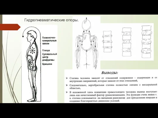 Гидропневматические опоры.