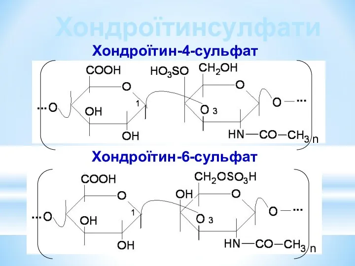 Хондроїтин-4-сульфат n n Хондроїтин-6-сульфат Хондроїтинсулфати