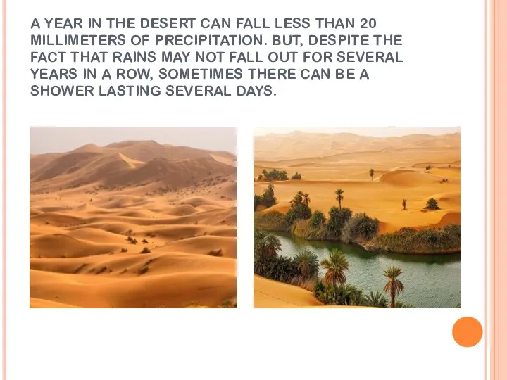 A YEAR IN THE DESERT CAN FALL LESS THAN 20