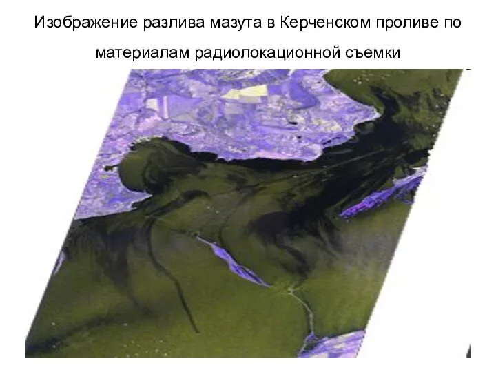 Изображение разлива мазута в Керченском проливе по материалам радиолокационной съемки