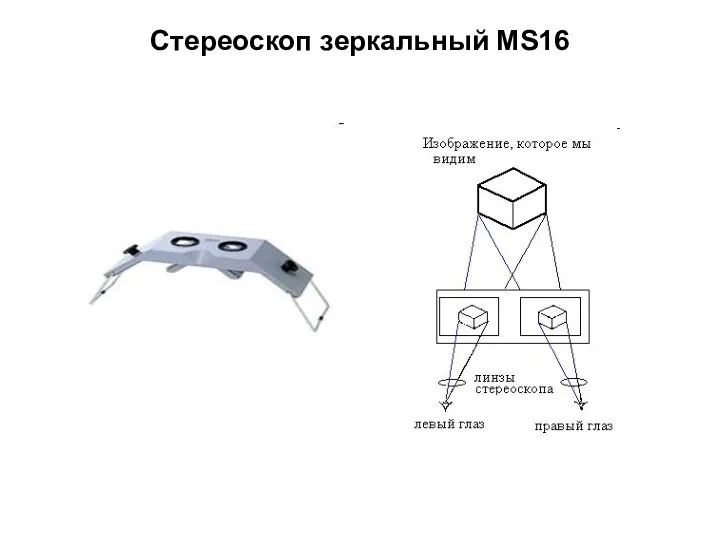 Стереоскоп зеркальный MS16