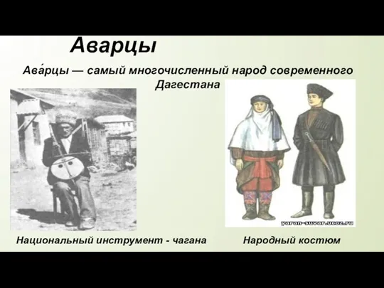 Аварцы Национальный инструмент - чагана Народный костюм Ава́рцы — самый многочисленный народ современного Дагестана