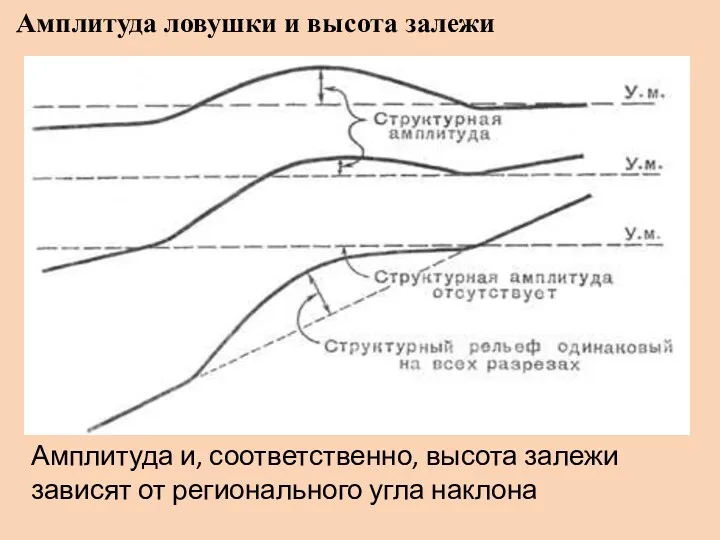 Амплитуда ловушки и высота залежи Амплитуда и, соответственно, высота залежи зависят от регионального угла наклона