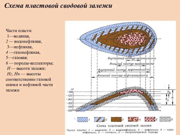 Схема пластовой сводовой залежи Части пласта: 1—водяная, 2 — водонефтяная,