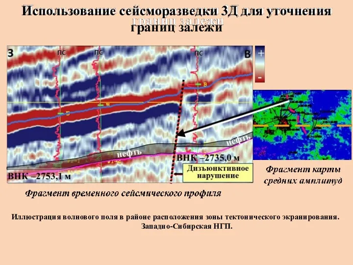 Использование сейсморазведки 3Д для уточнения границ залежи Иллюстрация волнового поля