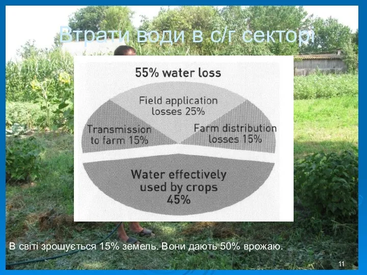 Втрати води в с/г секторі В світі зрошується 15% земель. Вони дають 50% врожаю.