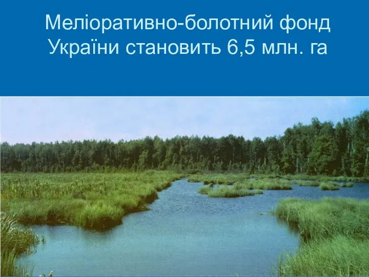 Меліоративно-болотний фонд України становить 6,5 млн. га