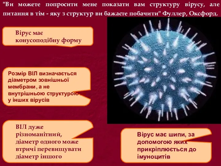 "Ви можете попросити мене показати вам структуру вірусу, але питання в тім -