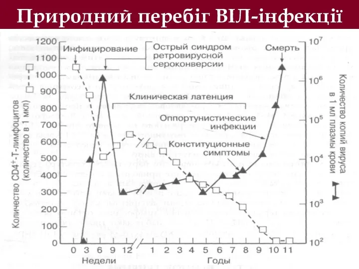 Природний перебіг ВІЛ-інфекції