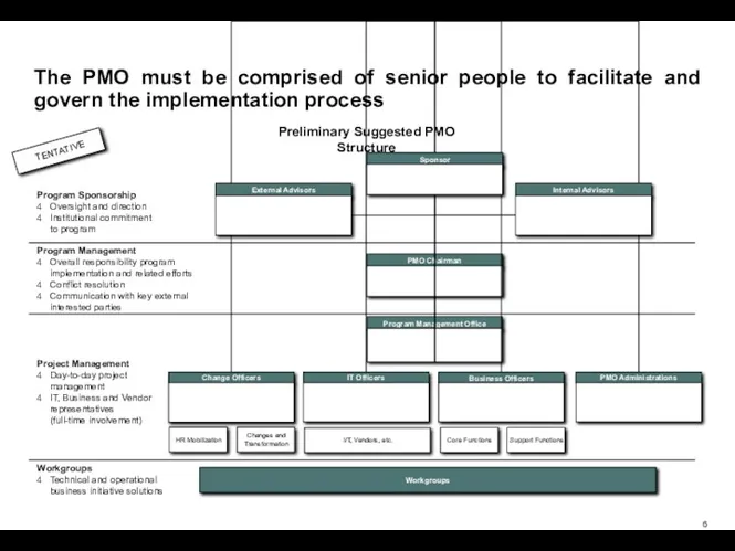Preliminary Suggested PMO Structure Program Sponsorship Oversight and direction Institutional