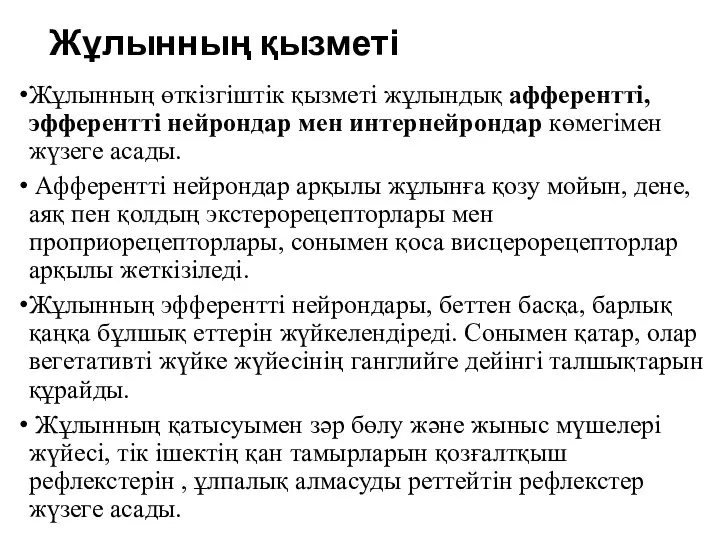 Жұлынның қызметі Жұлынның өткізгіштік қызметі жұлындық афферентті, эфферентті нейрондар мен