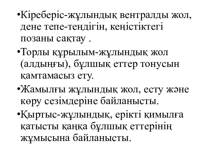 Кіреберіс-жұлындық вентралды жол, дене тепе-теңдігін, кеңістіктегі позаны сақтау . Торлы