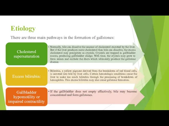 Etiology There are three main pathways in the formation of gallstones: