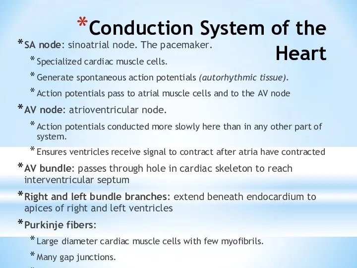 Conduction System of the Heart SA node: sinoatrial node. The