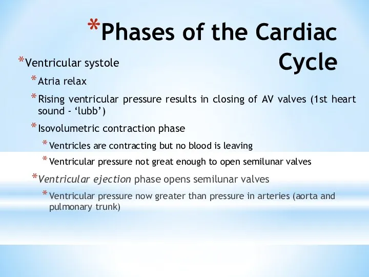 Phases of the Cardiac Cycle Ventricular systole Atria relax Rising ventricular pressure results