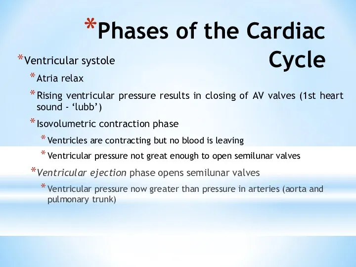 Phases of the Cardiac Cycle Ventricular systole Atria relax Rising