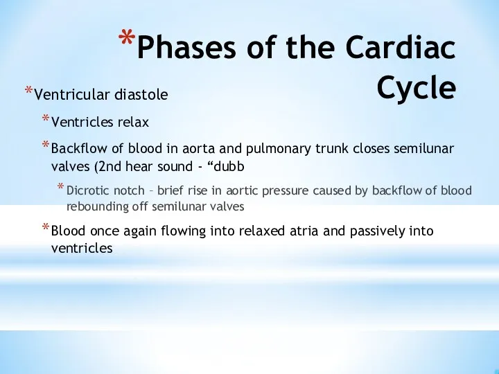 Phases of the Cardiac Cycle Ventricular diastole Ventricles relax Backflow of blood in