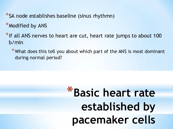 Basic heart rate established by pacemaker cells SA node establishes baseline (sinus rhythmn)