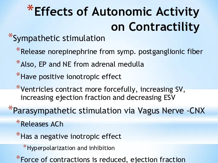 Effects of Autonomic Activity on Contractility Sympathetic stimulation Release norepinephrine from symp. postganglionic