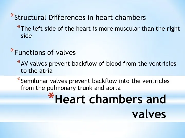 Heart chambers and valves Structural Differences in heart chambers The left side of