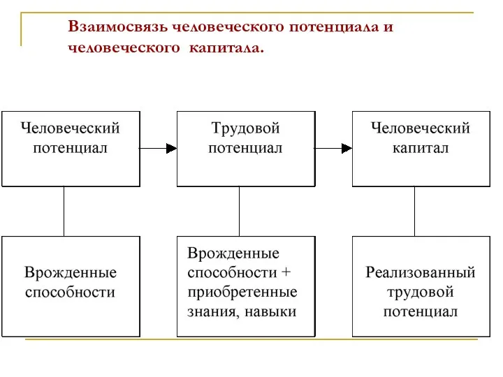 Взаимосвязь человеческого потенциала и человеческого капитала.