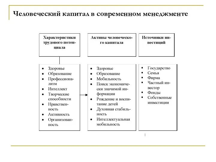 Человеческий капитал в современном менеджменте