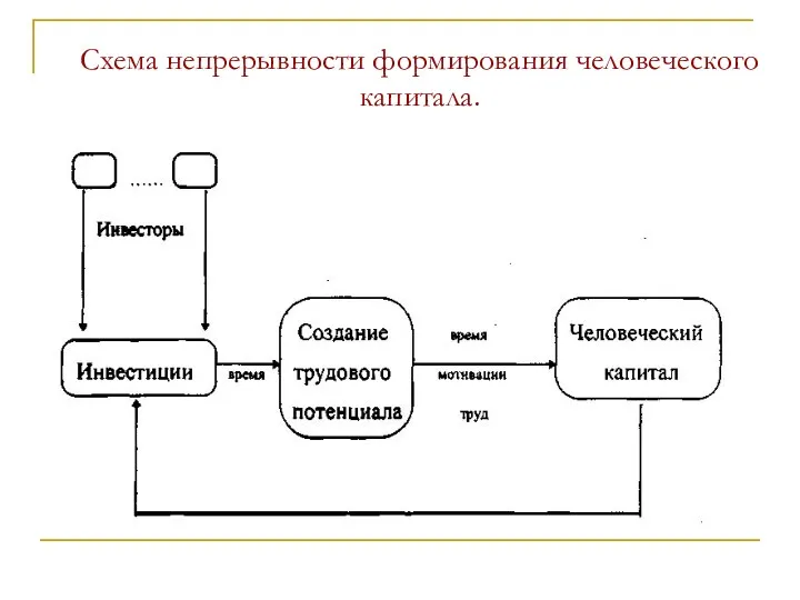 Схема непрерывности формирования человеческого капитала.