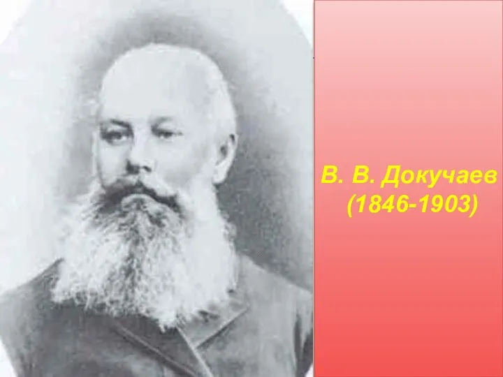 В. В. Докучаев (1846-1903)