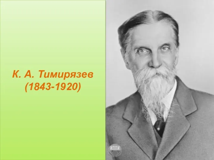 К. А. Тимирязев (1843-1920)