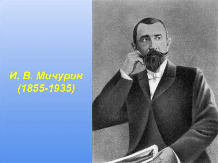 И. В. Мичурин (1855-1935)