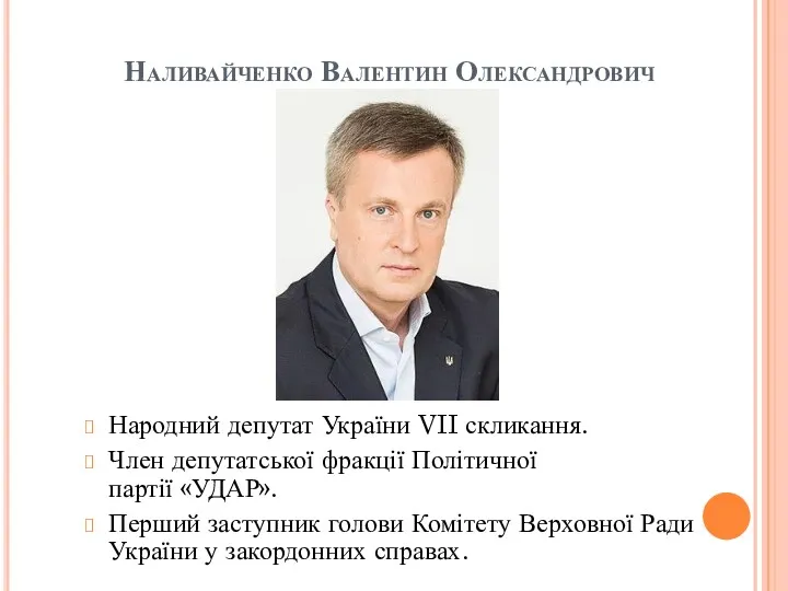 Наливайченко Валентин Олександрович Народний депутат України VII скликання. Член депутатської