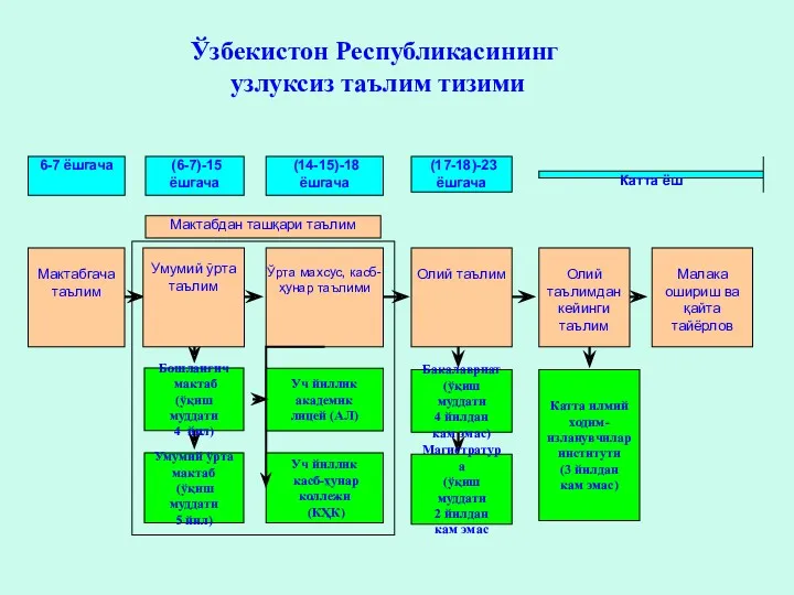 Мактабгача таълим Олий таълим Олий таълимдан кейинги таълим Катта ёш