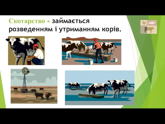Скотарство - займається розведенням і утриманням корів.