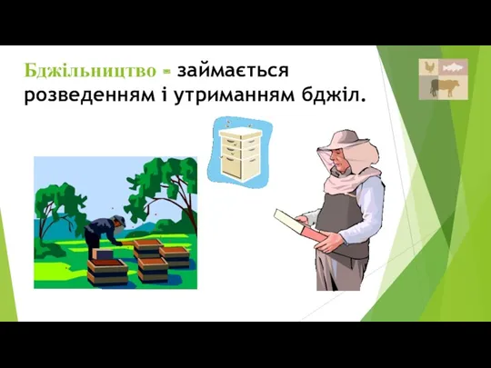 Бджільництво - займається розведенням і утриманням бджіл.