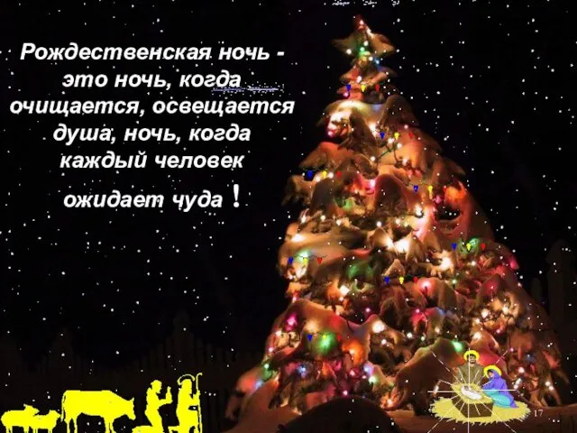 Рождественская ночь - это ночь, когда очищается, освещается душа, ночь, когда каждый человек ожидает чуда !