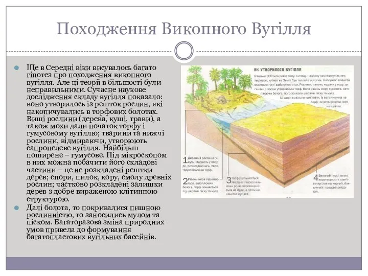 Походження Викопного Вугілля Ще в Середні віки висувалось багато гіпотез