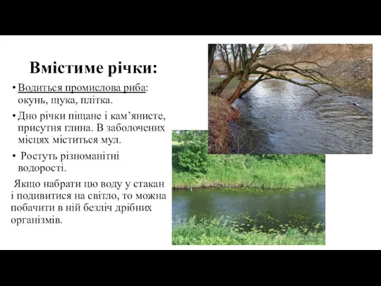 Вмістиме річки: Водиться промислова риба: окунь, щука, плітка. Дно річки